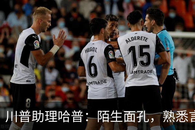 川普助理哈普：陌生面孔，熟悉言辞，励志人生被攻击小三